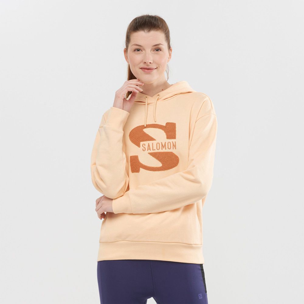 Salomon Singapore Womens Pullover - OUTLIFE LOGO SUMMER Beige | 48659-AQUP